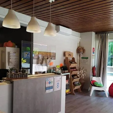 Campingplads Mobil 6 Personnes Avec Acces Handicape - Api-1-52-1018 Groléjac