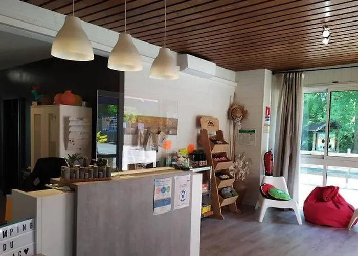 Camping Mobil 6 Personnes Avec Accès Handicapé - Api-1-52-1018 Groléjac